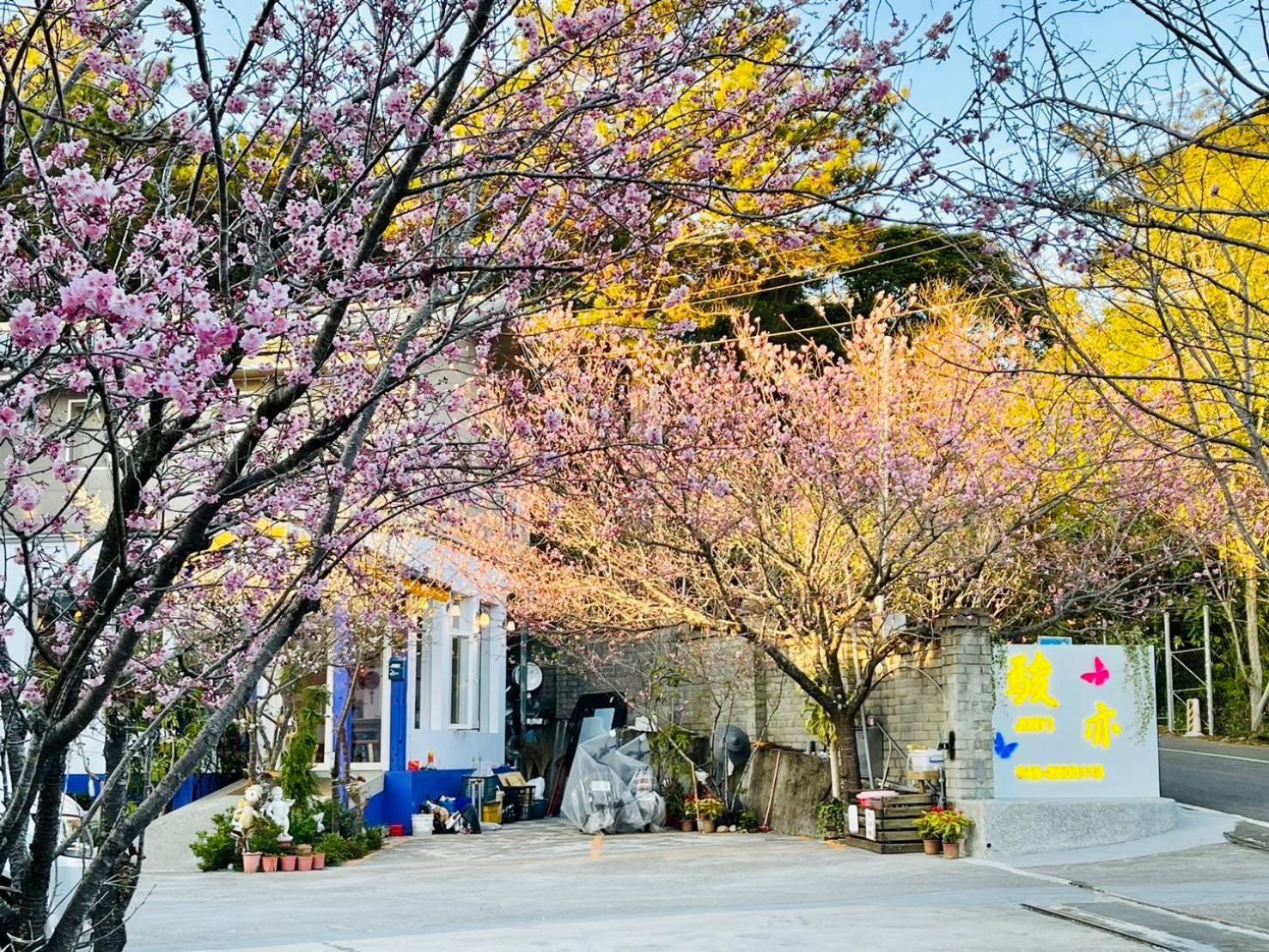 Junyi Landscape Villa Renai Dış mekan fotoğraf